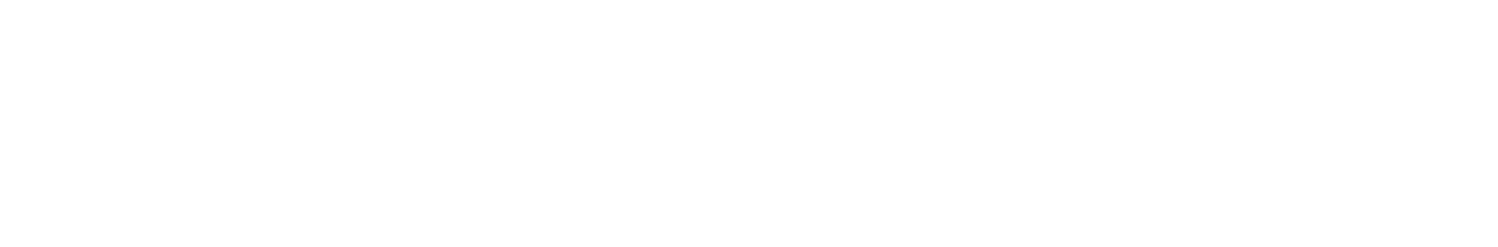 DeepAcceler